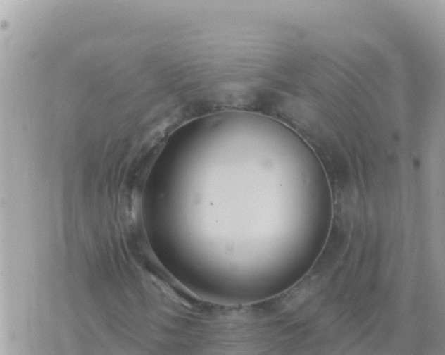 X0000073761058200608102040