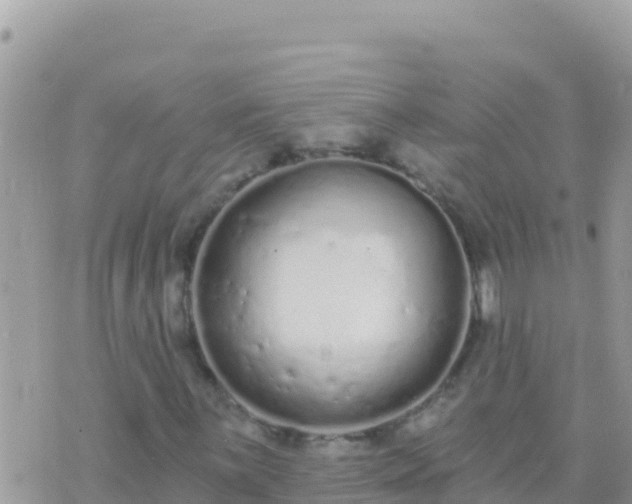 X0000073761059200608102040