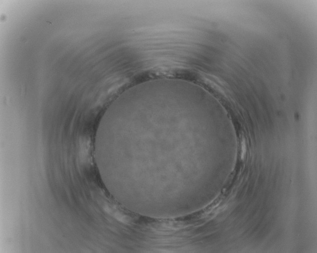 X0000073761060200608102040