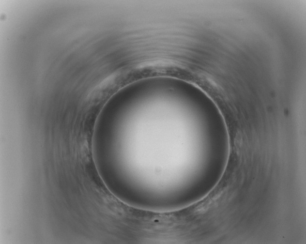 X0000073761062200608102040