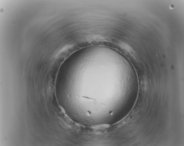 X0000073761063200608102040