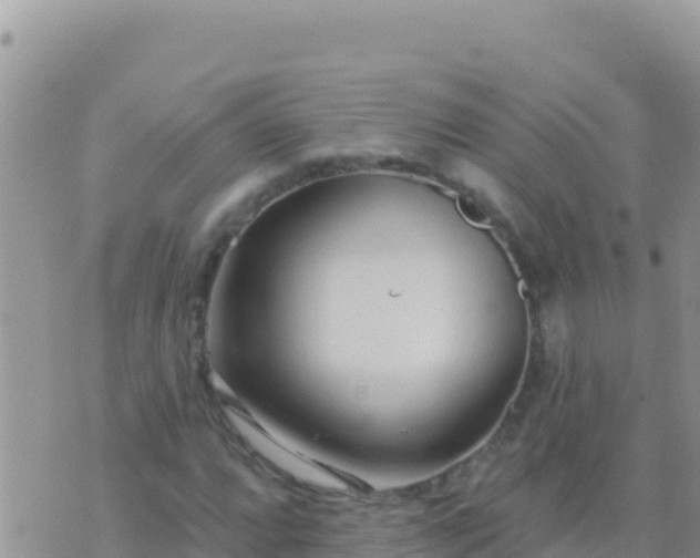 X0000073761064200608102040