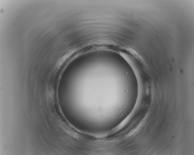 X0000073761065200608102040