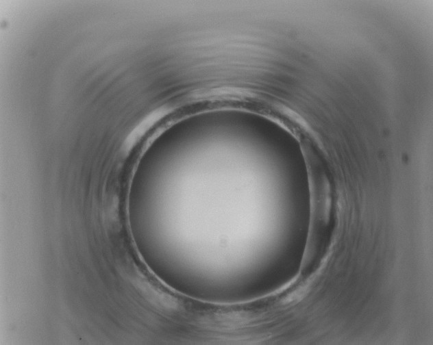 X0000073761066200608102040