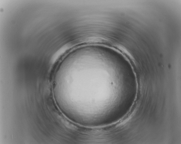 X0000073761067200608102040