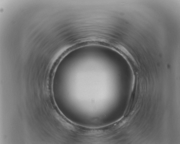 X0000073761068200608102040