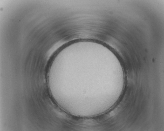 X0000073761070200608102040