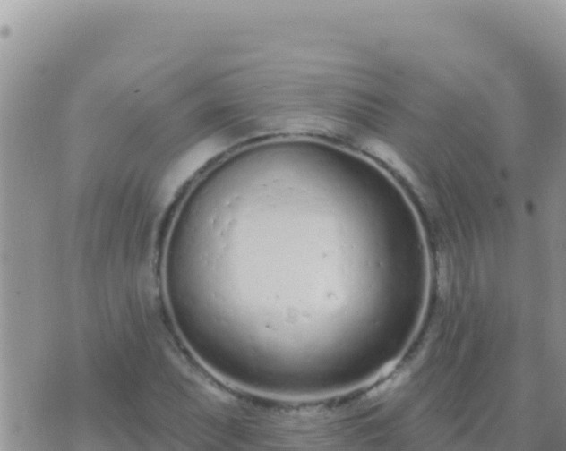 X0000073761071200608102040