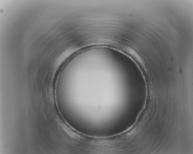 X0000073761072200608102040