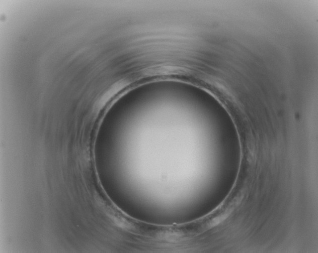 X0000073761073200608102040