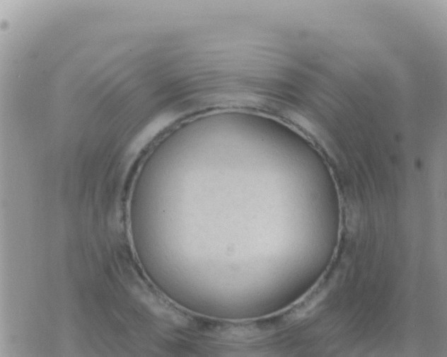 X0000073761074200608102040