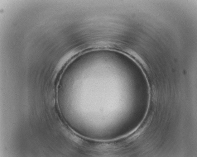 X0000073761075200608102040