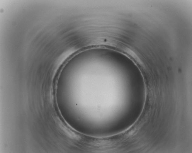 X0000073761076200608102040