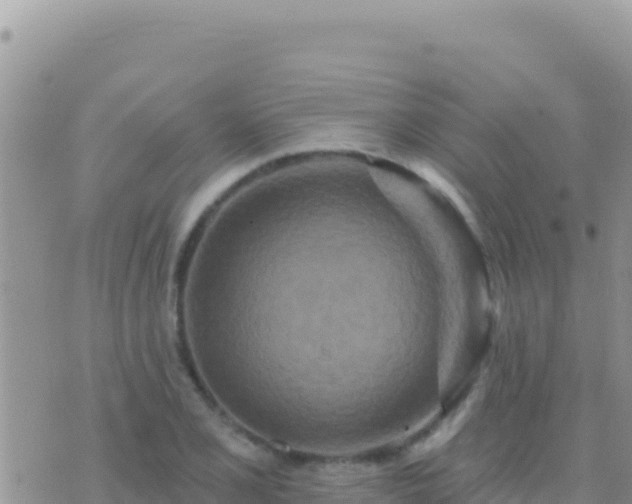 X0000073761077200608102040