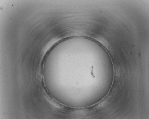 X0000073761078200608102040