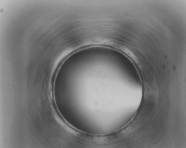 X0000073761080200608102040