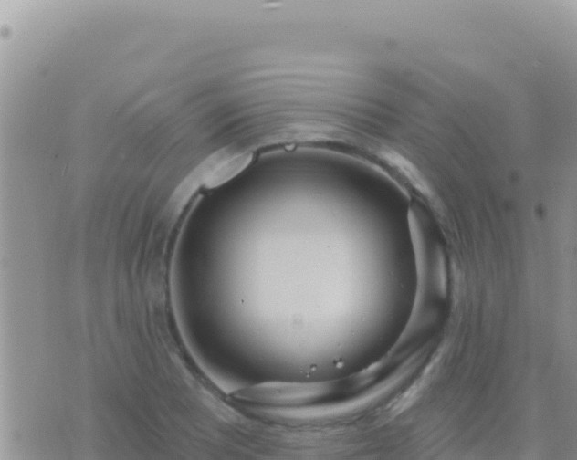 X0000073761081200608102040