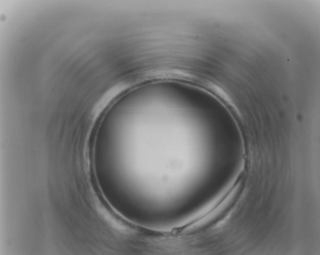 X0000073761082200608102040