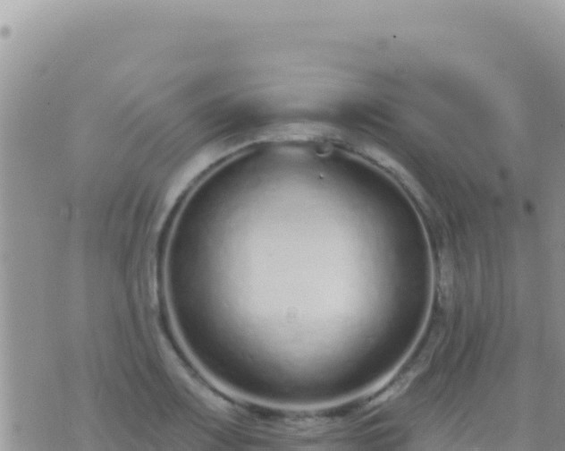 X0000073761083200608102040