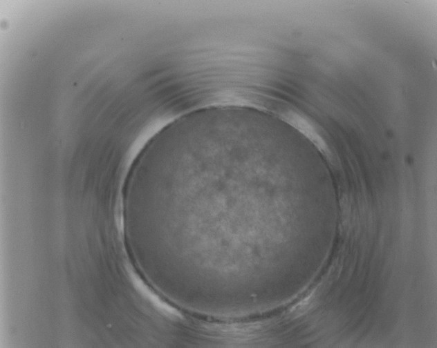 X0000073761084200608102040