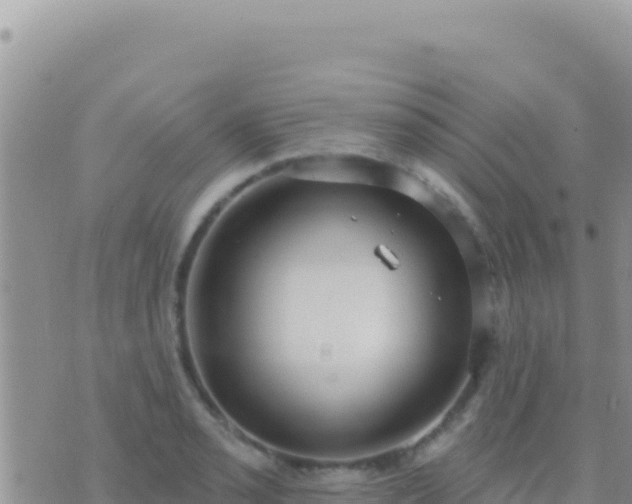 X0000073761085200608102039