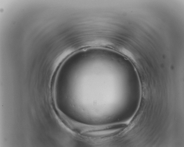 X0000073761087200608102039