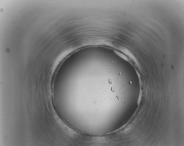 X0000073761088200608102039