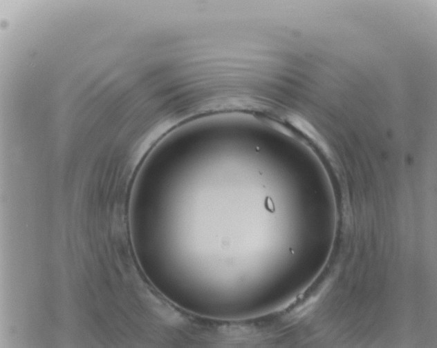 X0000073761089200608102039