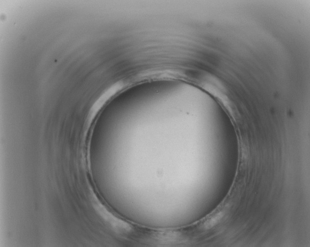 X0000073761090200608102039