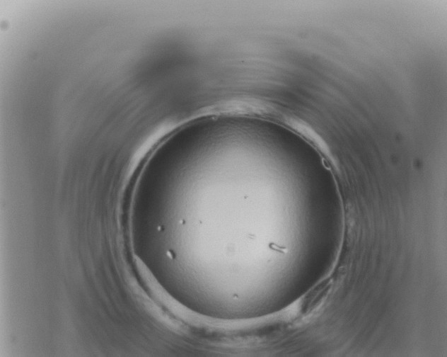 X0000073761091200608102039