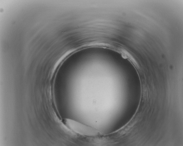 X0000073761092200608102039