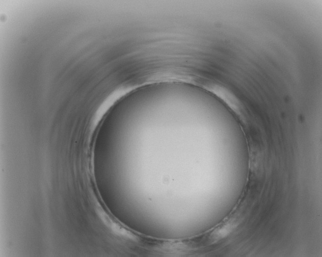 X0000073761094200608102039