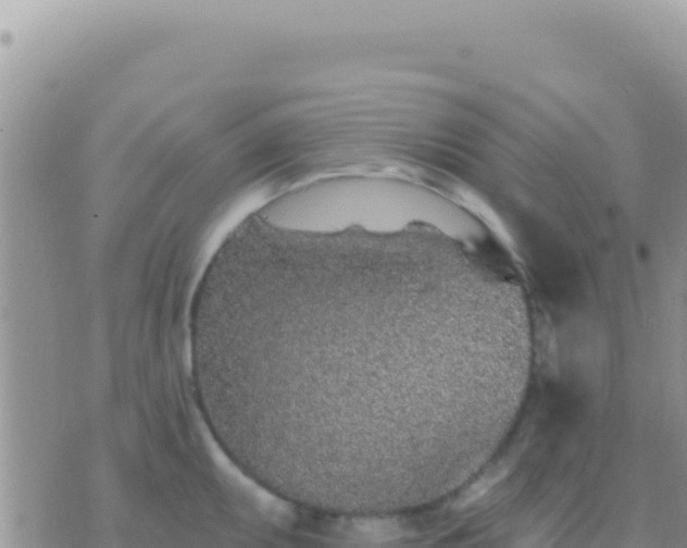 X0000073761095200608102039