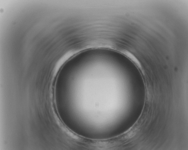 X0000073761096200608102039