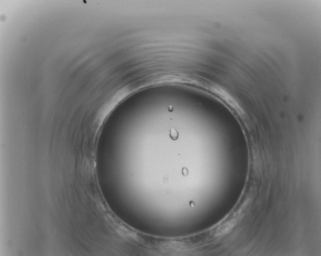 X0000073761097200608102039