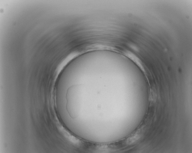 X0000073761098200608102039