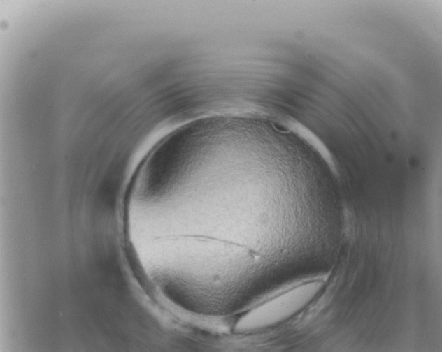 X0000073761099200608102039