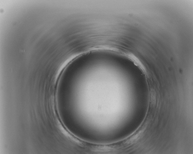 X0000073761100200608102039