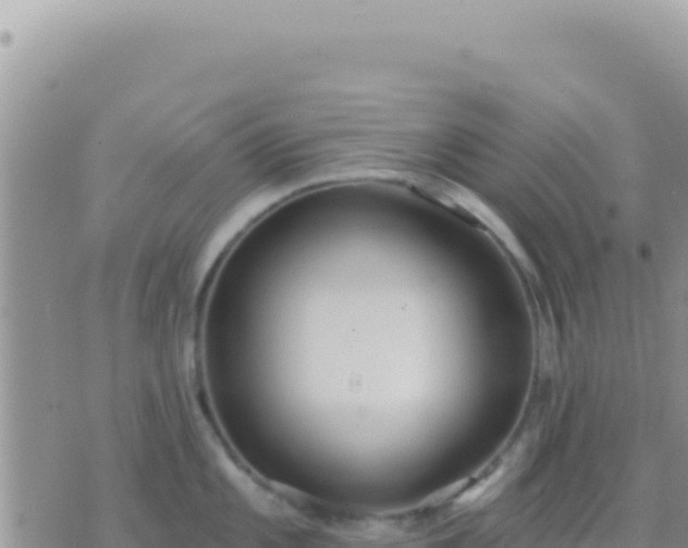 X0000073761101200608102039