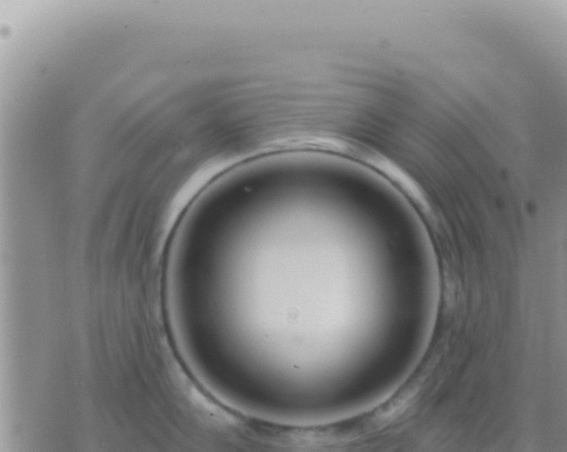 X0000073761102200608102039