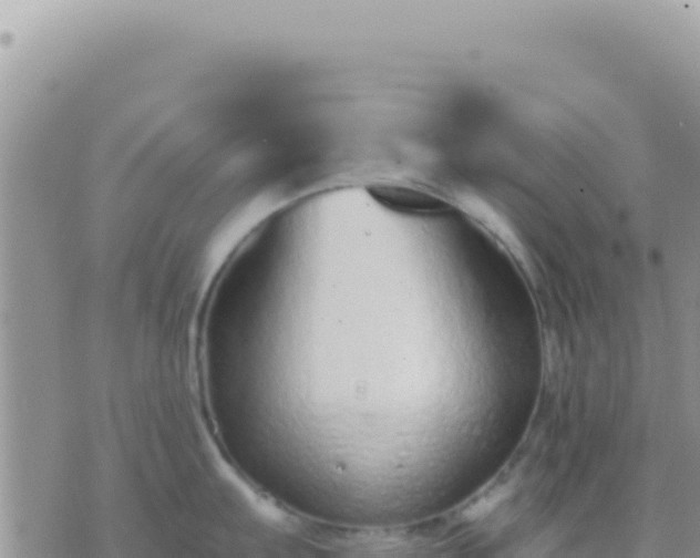 X0000073761103200608102039