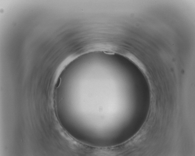 X0000073761104200608102039