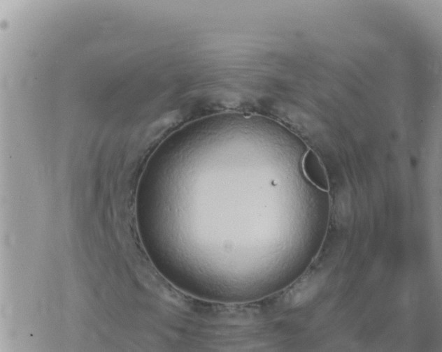 X0000073761105200608102038