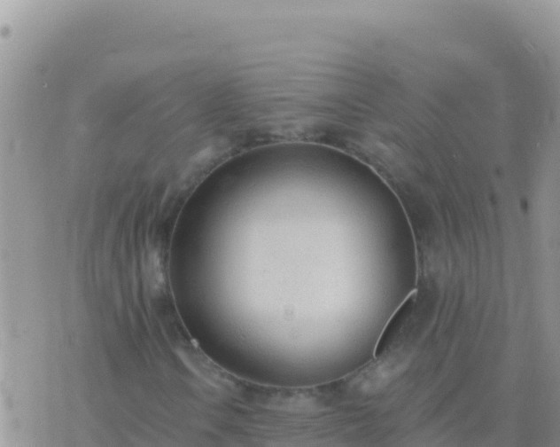 X0000073761106200608102038