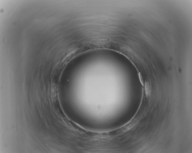 X0000073761107200608102038