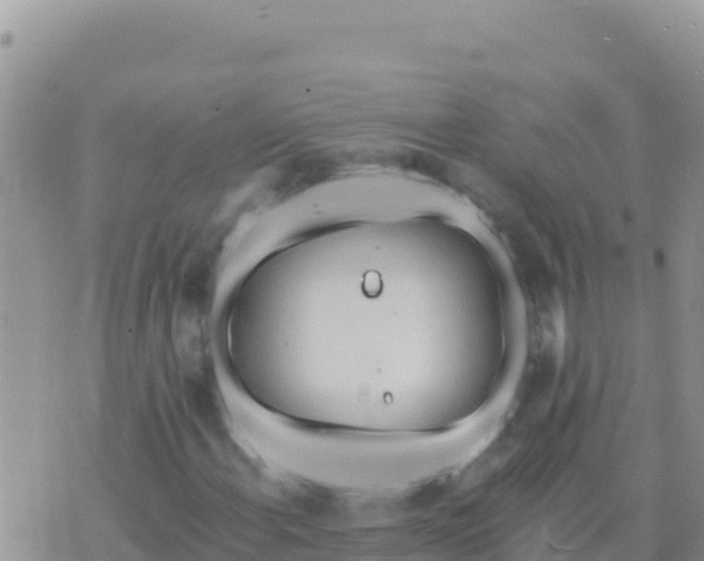 X0000073761108200608102038