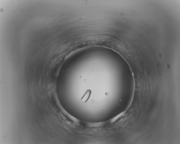 X0000073761109200608102038