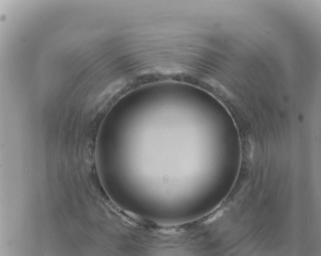 X0000073761110200608102038