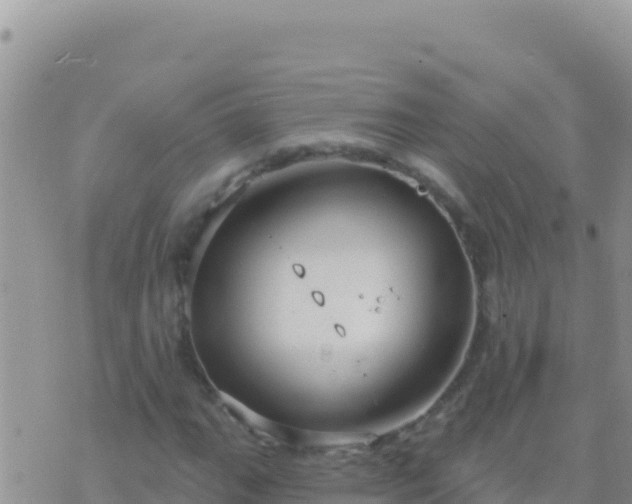 X0000073761111200608102038