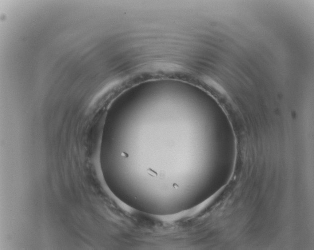 X0000073761112200608102038